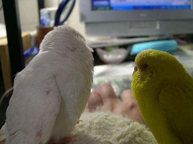 ライトを背に