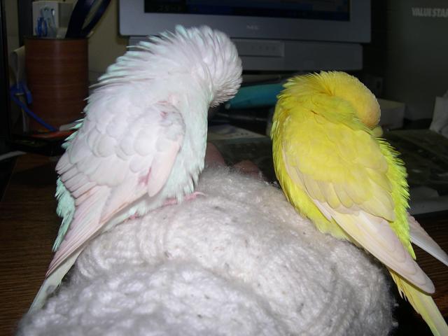 まだまだ