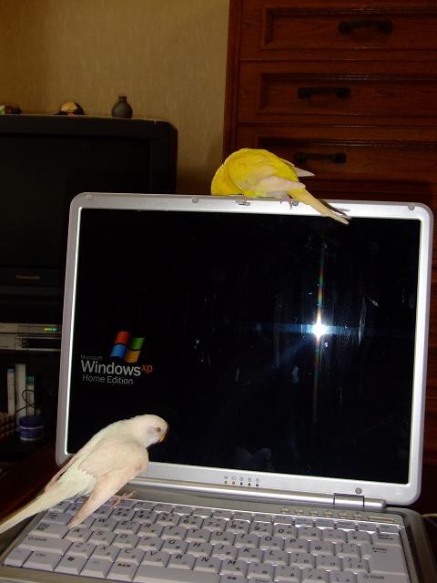 パソコン